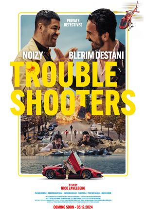 Troubleshooters's poster