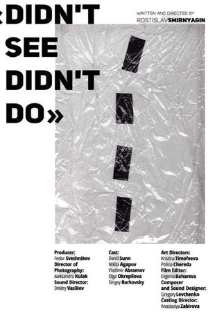 Didn't See Didn't Do's poster