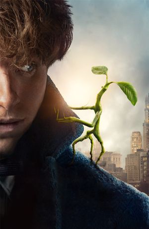 Fantastic Beasts and Where to Find Them's poster