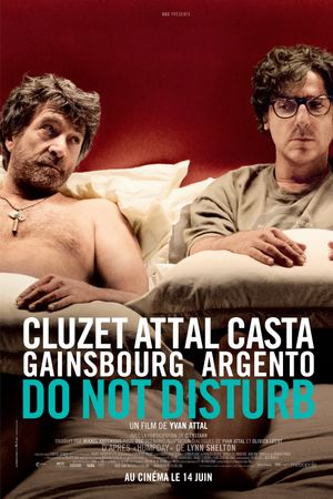 Do Not Disturb's poster
