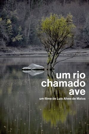 Um Rio Chamado Ave's poster