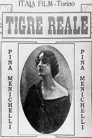 Tigre reale's poster