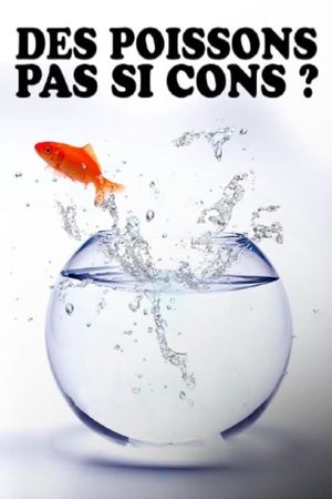 Des poissons, pas si cons ?'s poster