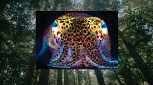 Donna Haraway: Story Telling for Earthly Survival's poster