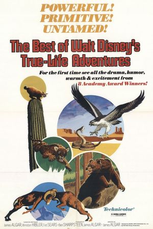The Best of Walt Disney's True-Life Adventures's poster