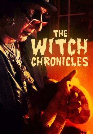 The Witch Chronicles's poster