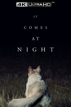 It Comes at Night's poster