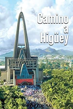 Camino a Higüey's poster image