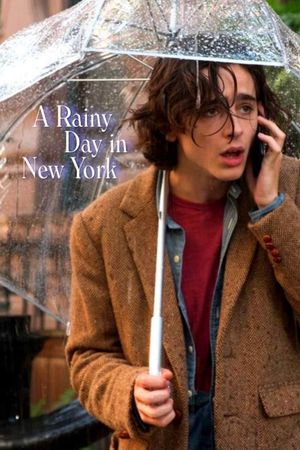 A Rainy Day in New York's poster