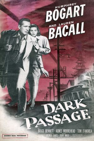 Dark Passage's poster