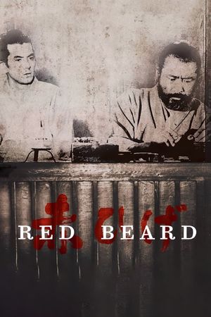 Red Beard's poster