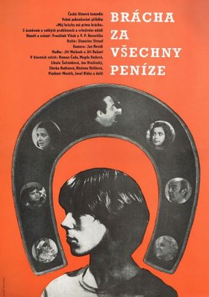 Brácha za vsechny penize's poster