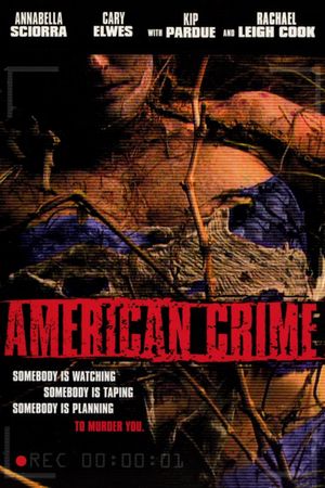 American Crime's poster
