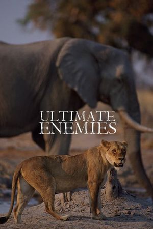 Ultimate Enemies: Revealed's poster