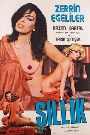 Sillik's poster