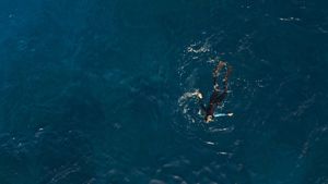 The Dive's poster