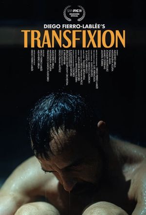 Transfixion's poster image