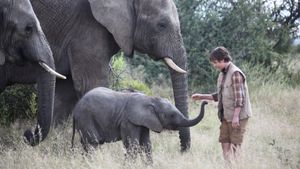 An Elephant's Journey's poster