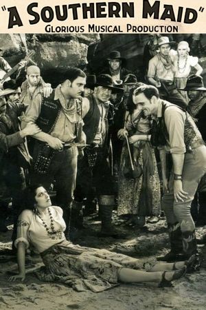 A Southern Maid's poster
