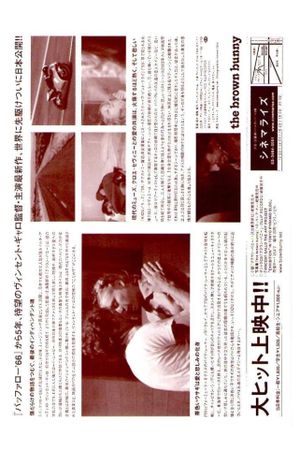 The Brown Bunny's poster