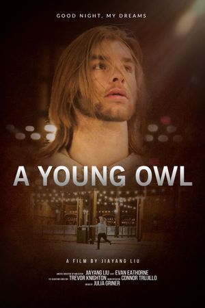 A Young Owl's poster