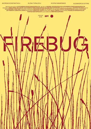 Firebug's poster