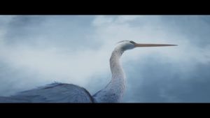 Sous la glace's poster