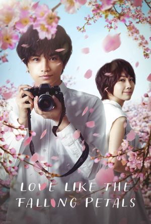 Love Like the Falling Petals's poster