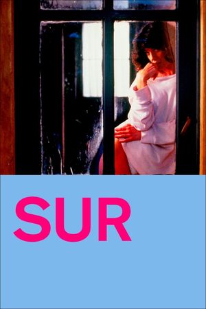 The South's poster