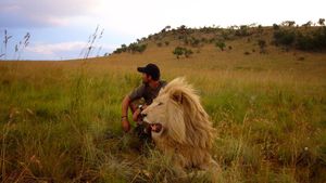 African Safari's poster