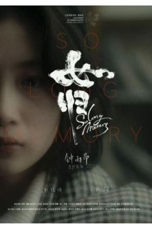 So Long Memory's poster