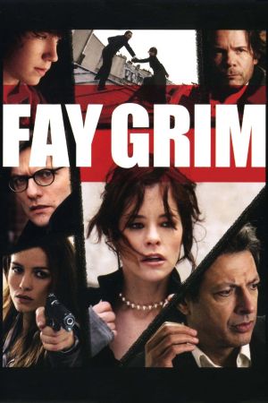 Fay Grim's poster