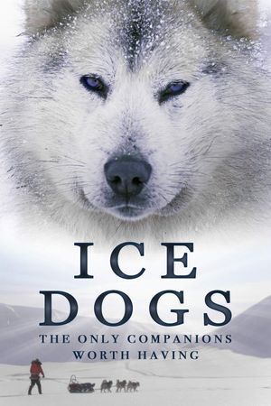 Ice Dogs: The Only Companions Worth Having's poster