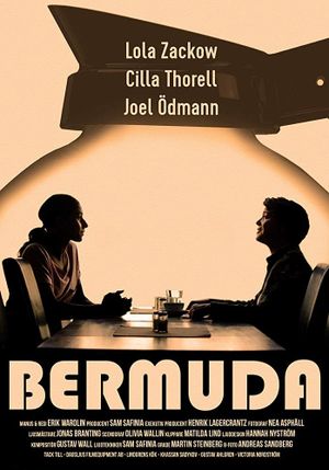 Bermuda's poster