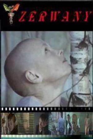 Torn's poster