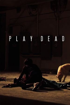 Play Dead's poster