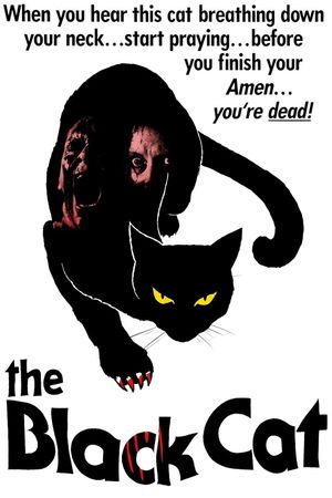 The Black Cat's poster