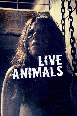 Live Animals's poster