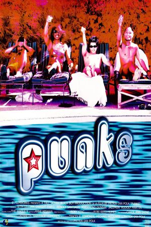 Punks's poster
