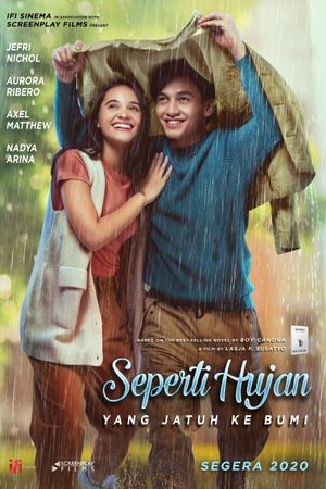 Love like the Falling Rain's poster