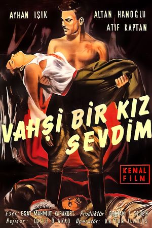 Vahsi bir kiz sevdim's poster