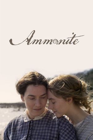 Ammonite's poster