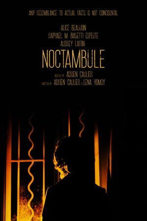 Noctambule's poster