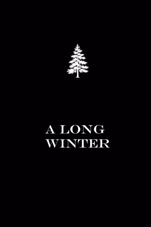 A Long Winter's poster image