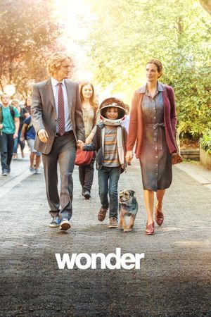 Wonder's poster