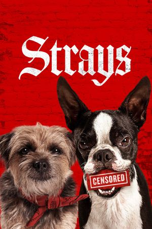 Strays's poster