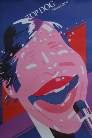 Wodzirej's poster