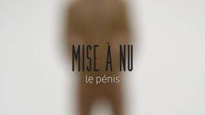 Mise à nu's poster