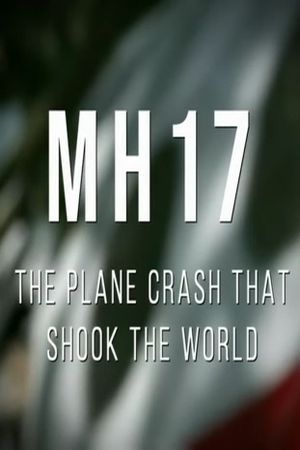 MH17: The Plane Crash That Shook The World's poster