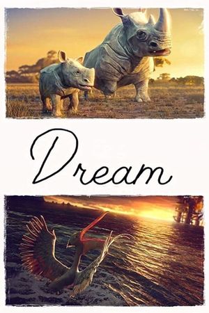 Dream's poster